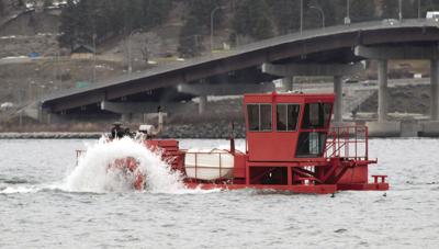 Cool, cloudy summer stopped milfoil growth