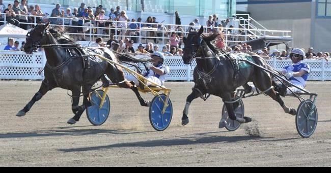 Harness racing driver James MacDonald captures 2024 Canadian driving championship