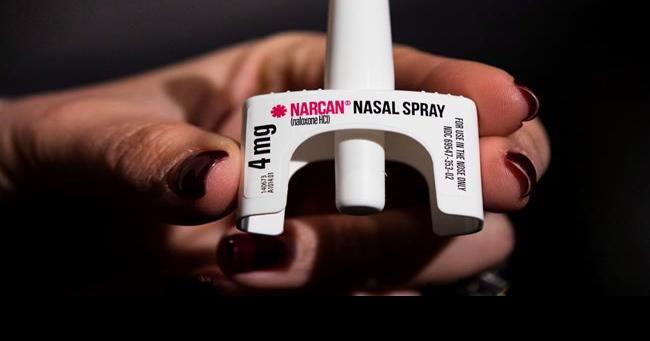 Kelowna toddler recovering after doable drug overdose, police say |  information