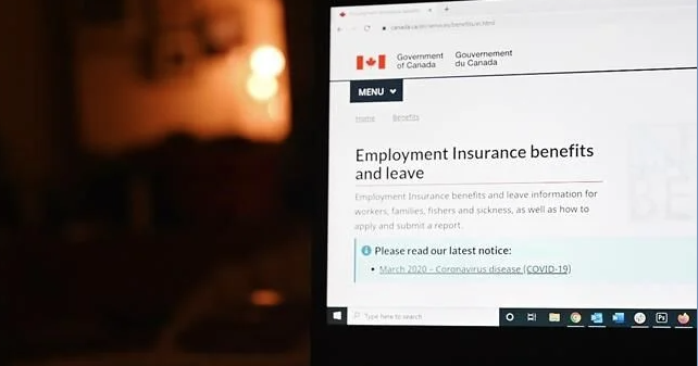 Bleak student job market as Kelowna's unemployment rate rises