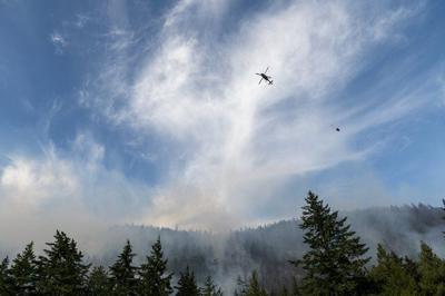 Weekend rain, cooler conditions allow crews to make progress on B.C. wildfires