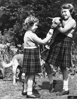 A queen and her corgis: Elizabeth loved breed from childhood