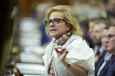 Federal minister plans to hold consultations this summer on immigration intake