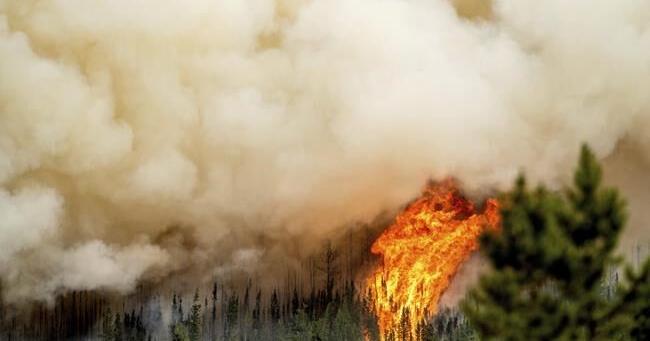 Most of B.C. under campfire ban as heat, lightning likely to ramp up wildfire risk - Vimarsana News