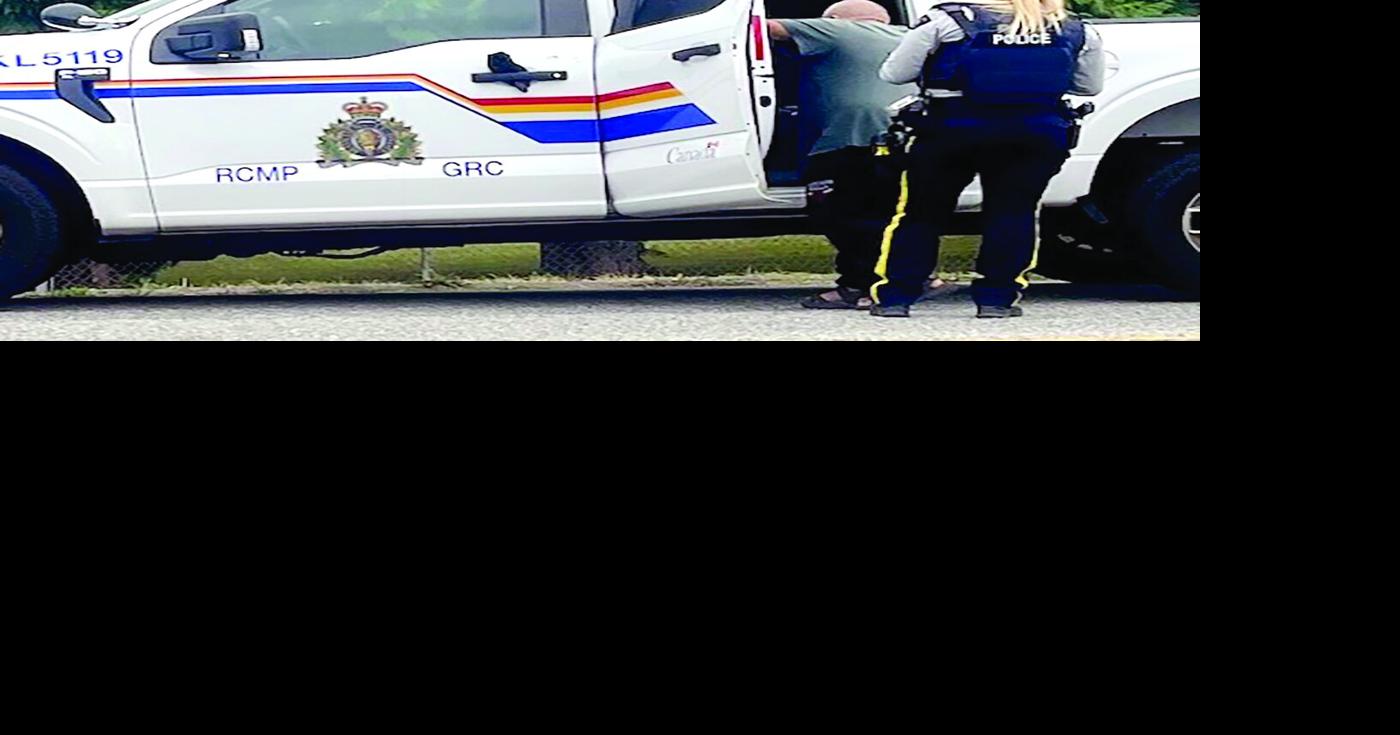 Dramatic police raid gives neighbours quite a show