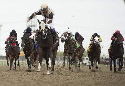 Ontario Lottery and Gaming Corporation players can now bet on live horse races