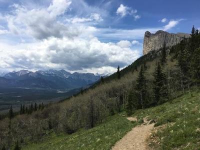 Nearly one-quarter of trails in southern B.C., Alberta unmapped and unmanaged: study