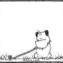 Breaking the chains: Creator of comic strip 'Mutts' frees his Guard Dog character after decades - Vimarsana News