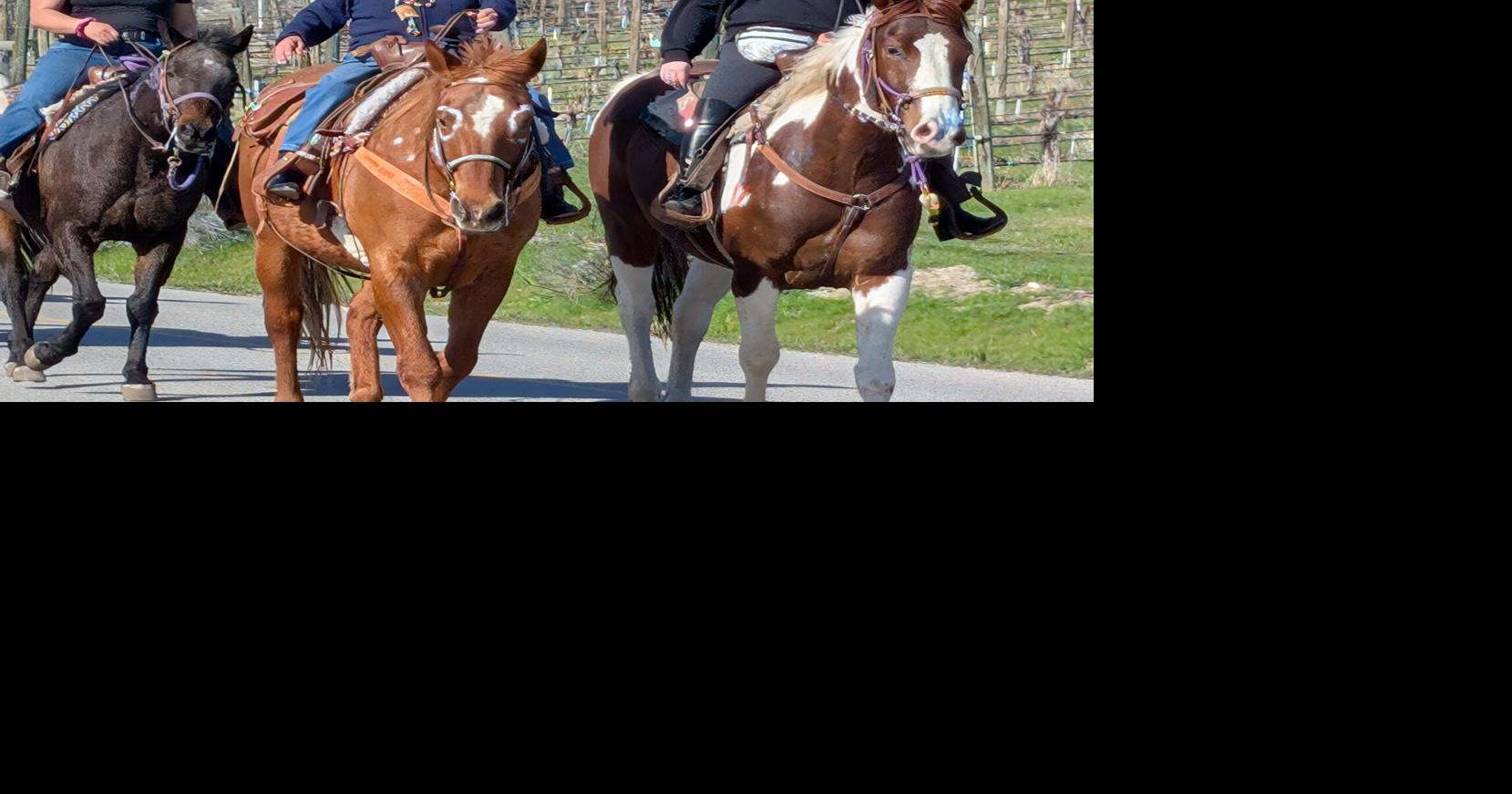 At age 95, Jane’s still riding horses | News | kelownadailycourier.ca