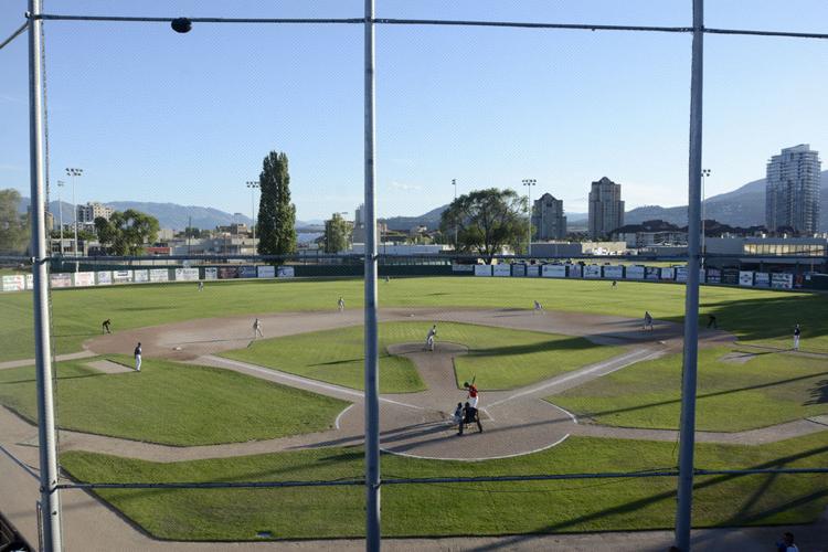 Kelowna Falcons baseball action Gallery kelownadailycourier.ca