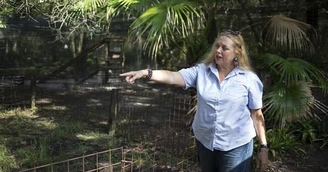 Tiger King's Carole Baskin asks Florida Supreme Court to review defamation lawsuit ruling - Vimarsana News