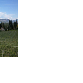 Water cut-offs loom for Kelowna farmers