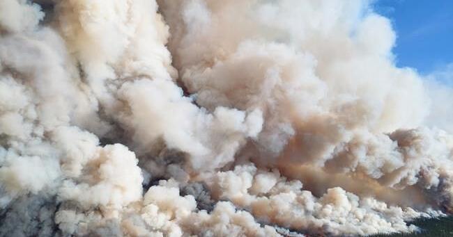 Recent lightning strikes carpet northeast B.C., as active wildfire count climbs - Vimarsana News