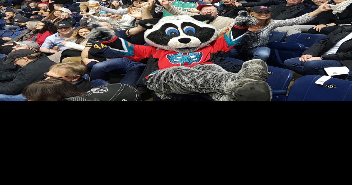 Kelowna’s rink nonetheless held to 50% capability regardless of full-houses in Vancouver, Victoria |  Information