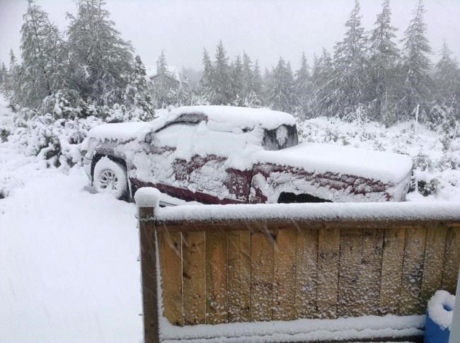 Summer Snow Falls In Parts Of Newfoundland Never Seen It This Late Summer Snow Falls In Parts Of Newfoundland Never Seen It This Late June