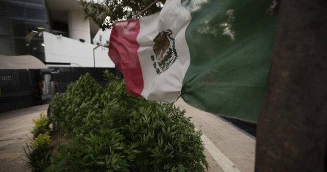 10 'taken' from B.C. firm's Mexican mine site, but Global Affairs says no Canadians