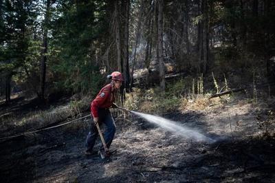 Budget funding for BC Wildfire Service garners mixed reaction from experts