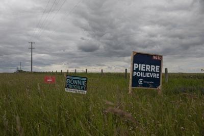 Electoral reform, dinosaurs and 'spite': the 'Longest Ballot' protest, explained
