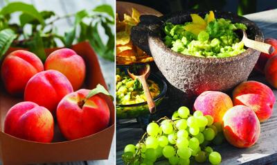 Urban Forager