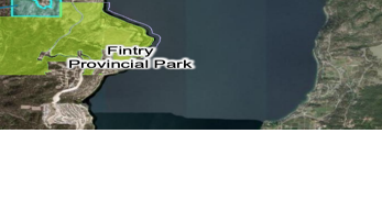 Fintry-adjacent housing plan splits rural and urban regional directors - Vimarsana News