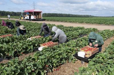 Migrant worker calls proposed spike in housing cost payroll deduction 'wickedness'