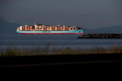 Environmental groups launch legal challenge against B.C.'s Roberts Bank port project