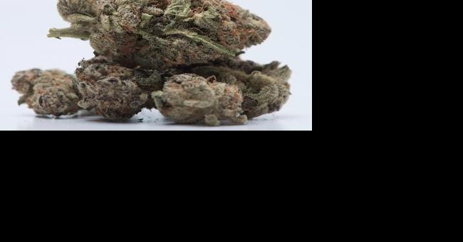 Cannabis producer sues claiming he's owed $35K | News | kelownadailycourier.ca - Vimarsana News