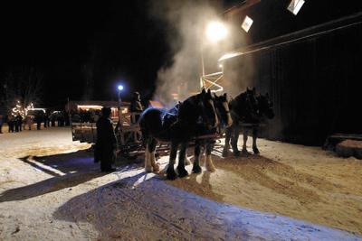 Caravan Farm Theatre Outdoor Fun In A Wooded Winter Wonderland