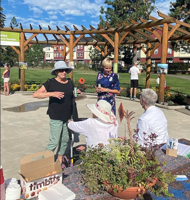 Second xeriscape garden unveiled in Central Okanagan