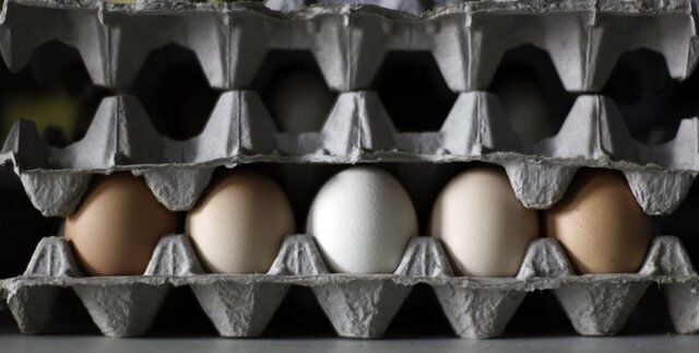 Eggs in Alberta, saʴý, Ont., Man., Sask., recalled over salmonella concerns