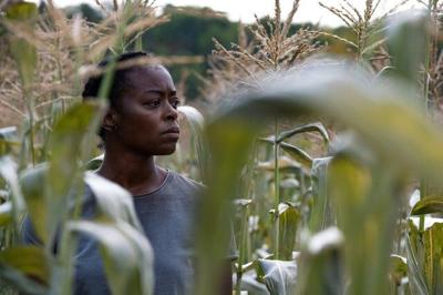 'Incredibly ambitious and probably really stupid': R.T. Thorne's sci-fi debut '40 Acres'