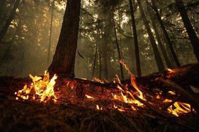 In the news today: Evacuation order issued in Kelowna due to wildfire
