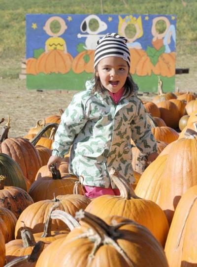 10 Great Things About Thanksgiving Okanagan Style Life Kelownadailycourier Ca