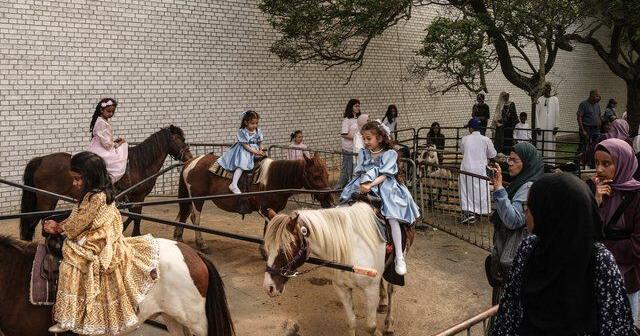 Expert's report criticizes CRA over audit of Muslim charity, calls for improvements