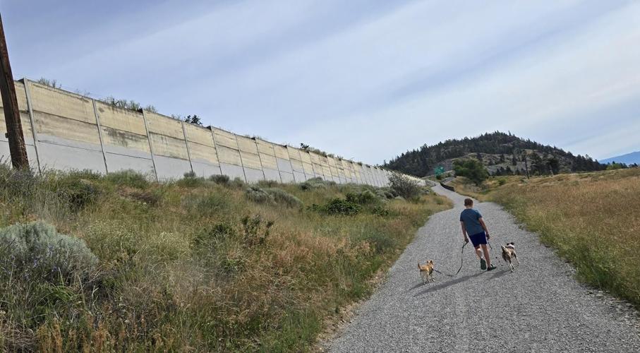 highway retaining wall mural