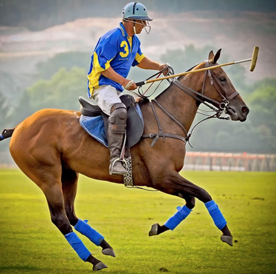 kelowna polo