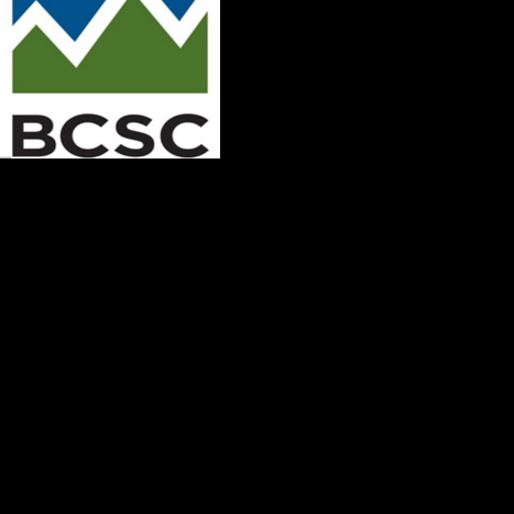 Kelowna portfolio supervisor pays Ok for insufficient controls to BC Securities Fee |  Information