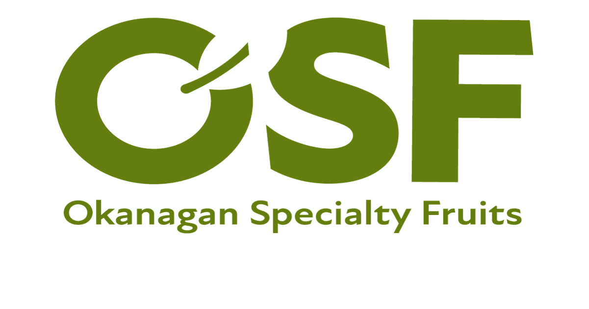 OSF strengthens leadership team following ownership change