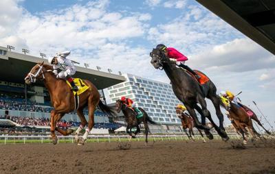 Top Canadian breeder says U.S. tariffs could cripple horse-racing industry