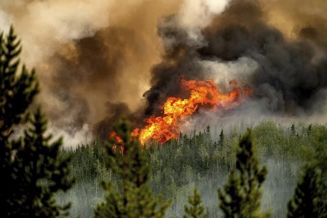 Properties destroyed as latest B.C. wildfire flares, forcing