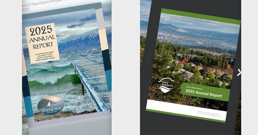 Growth fantasies live on in cities' Annual Reports - Opinion