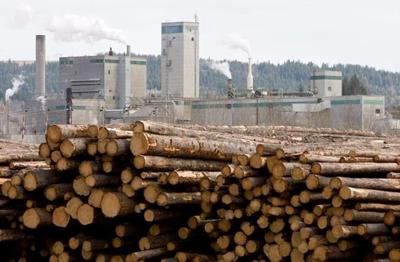 West Fraser Timber Co. to temporarily curtail operations at Quesnel, B.C., mill