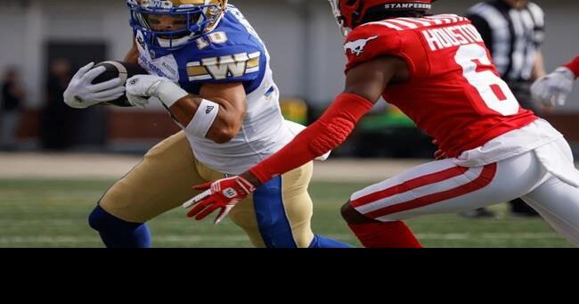 Paredes kicks 52-yard field goal in OT as Stampeders edge Blue Bombers 22-19