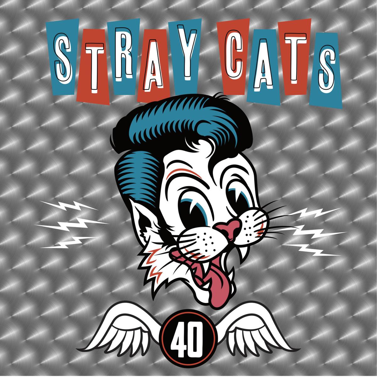 Stray Cats Cross Our Path Again Entertainment Kelownadailycourier Ca