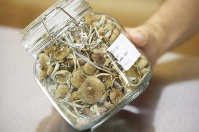 Advocacy group says court battle over psilocybin-assisted therapy is a turning point