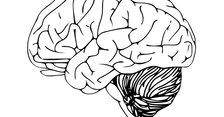 BrainTrust Canada marks 40 years in the Okanagan