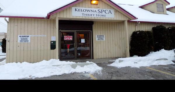 Spca Opens Thrift Store In Rutland News Kelownadailycourier Ca