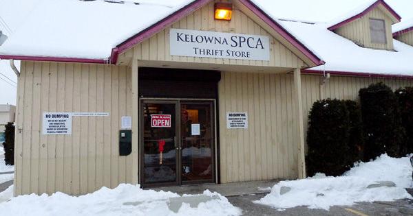 Spca Opens Thrift Store In Rutland News Kelownadailycourier Ca Spca Opens Thrift Store In Rutland News Kelownadailycourier Ca