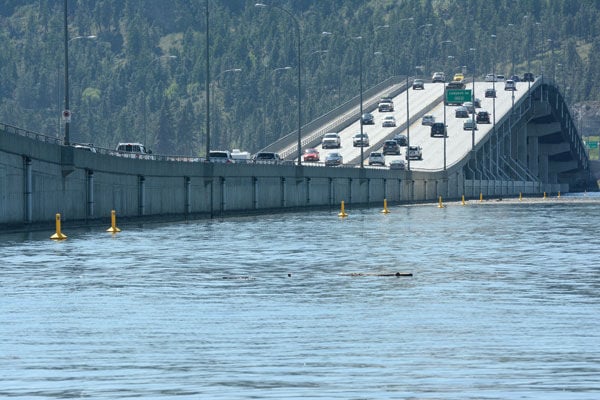 90-year-old woman swimming across Okanagan Lake