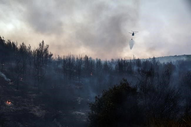 Greek firefighters tackle blazes near Athens Greek firefighters tackle blazes near Athens